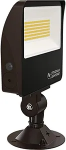 Lithonia Lighting ESXF2 ALO SWW2 KY DDB M2 Outdoor LED Switchable Floodlight, Knuckle or Yoke Mount, Bronze