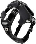 Kurgo Stash n Dash Dog Harness, Black, Large