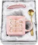 You're the Sister I Got to Choose Gifts Sister Gifts from Sister Funny Valentines Day Gifts Sisters in Law Birthday Gifts for Sister Women Her Friends Female Girls BFF 12oz Sister Mug with Gift Box