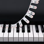 XynkoreX Silicone Piano Keyboard Stickers, Removable Piano Keyboard Note Labels for Learning, 88-Key Full Size, Piano Notes Guide for Beginner, Reusable Comes Unique and cute dog paw design (Rainbow)