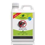 Peppermint Oil Mouse Rat Repellent Big Value 2.5L Refill Stop Mice Rats Garden Indoors Outdoors Cedarwood Peppermint Made in The UK