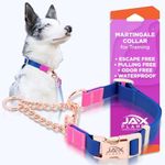 Jelly Color-Block Martingale Collar for Dogs with Buckle and Chain, Heavy-Duty D-Ring - No Pull Collar for Training, Walking - Adjustable, Waterproof, Escape-Proof, Anti-Slip (Blue-Rose C4)