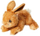 Aurora Bunny Toys