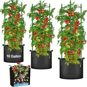 Moirsunt Tomato Cages with 10 Gallon Grow Bags, 48 Inches Tomato Planter