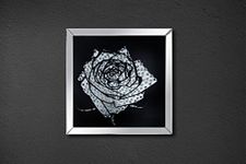 ACME Furniture Nevina Wall Décor, Mirrored & Crystal Rose, Mirrored and Crystal