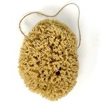 Large 16CM Sea Sponge Unbleached Honeycomb Natural Seasponge for Bath Use, or Art and Painting use (L Size Approx 14-16cm)