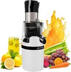 Masticating Juicer Machine for Whol