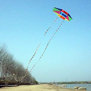 Besra Huge 98inch Single Line 3D Radar Kite with Flying Tools 2.5m Power Box Kites with 2 Tails Outdoor Fun Sports for Adults, kite & 2 long tails