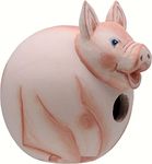 Songbird Essentials SE3880083 Pig Gord-O Birdhouse (Set of 1)