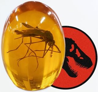 VEOJEIN Jurassic 3D Mosquito in Amber Resin | Realistic Dinosaur DNA Replica Prehistoric World Collectible | Flat Bottom Shaped Paperweight