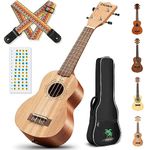 CAHAYA Soprano Ukulele 21 Inch Starter Kit Beginner with Gig Bag, Rainbow Strap, Scale stickers, for Both Adults and Kids, Mahogany CY0068