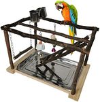 Tfwadmx Parrots Playstand Bird Play Gym Cockatiel Playground Wood Perch Stand Climb Swing Ladders Chewing Toys with Feeding Cups Exercise Activity Center for Conure Cockatiel Lovebirds