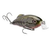 Strike King Hybrid Hunter Jr. Fishing Lure, Shallow Diving Crankbait, 90-Degree Bill, 3D Eyes, Rattle, Dives 2 to 4-Feet, 1/2-Ounce, Size 4 & 6 Treble Hooks