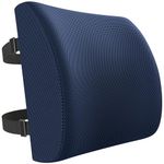 FORTEM Lumbar Support Office Chair, Lumbar Support Pillow for Car, Office Chair Back Support, Lumbar Pillow for Desk Chair, Memory Foam Back Cushion, Washable Cover (Blue)