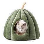 Cute Cat Bed for Indoor Cats, Pumpk