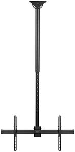 VIVO Ceili