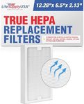 LifeSupplyUSA Replacement HEPA Comp