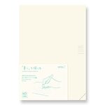 DESIGNPHIL Midori 15313006 Notebook, MD Notebook, Journal, A5, 1 Page Per Day, Dot Square A