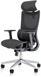 PatioMage Ergonomic Office Chair with 3D Armrest, Big and Tall Computer Desk Chair with Adjustable Headrest, Seat Depth, Lumbar Support, Home Office Gaming Chair