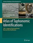 Atlas of Taphonomic Identifications: 1001+ Images of Fossil and Recent Mammal Bone Modification (Vertebrate Paleobiology and Paleoanthropology)