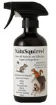 NatuSquirrel Ultimate Squirrel Repellent Spray – Natural, Eco-Friendly, Pet & Child Safe, Protects Gardens, Attics, Lofts & Bird Feeders – 250ml