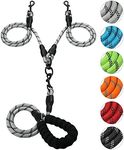 Double Dog Leash Reflective Detachable Coupler and Tangle Free, Support add to multiple Rope Leash Control with Comfortable Padded Handle for Large and Medium Dogs Walking and Training (Silver, Double Leash)