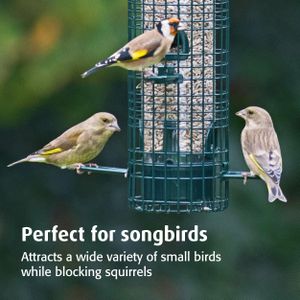 Jacobi Jayne Squirrel Buster Classic Bird Feeder – Squirrel & Pigeon Proof Metal, Easy Clean Hanging Seed Feeder for Garden Birds