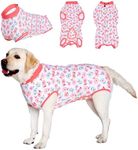 LovinPet Dog Surgery Recovery Suit - Onesie for Dogs After Surgery Female & Male Anti-Licking Protection Full Body Coverage for Anti-Shedding