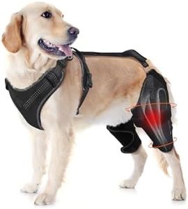 LISPOO Dog