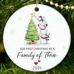 HEXMOZ Family Of Three Christmas Ornament 2024 - Baby's First Christmas Ornament - Newborn Baby Boy, Girl 1st Christmas - New Parents, First Time Mom, Dad, Mommy, Dad Gifts for Couple - Pregnancy Gift