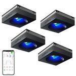 PopBloom RL90 Aquarium Light - 400 Watt Reef Aquarium Coral Reef LED Lighting Sol Blue for 72inch 96inch Marine Fish Tank Light with Smart-APP Control