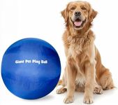 Iron Paws Giant Pet Play Ball Herdi