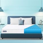 The Sleep Company SmartGRID Ortho 6 Inch Mattress Queen Size | AIHA Certified Medium Firm Orthopedic Mattress for Back Pain Relief | Patented Japanese SmartGRID Technology | 72x60 | 10 Years Warranty