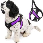 Gooby Easy Fit Step-In Harness Light and Comfortable, Medium, Purple