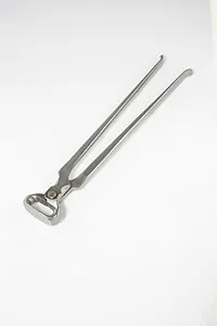 GE Forge 1