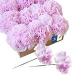 Royal Imports Artificial Carnations, Silk Faux Flowers, for Funeral Arrangements, Wedding Bouquets, Cemetery Wreaths, DIY Crafts - 100 Single 5" Stems - Lite Pink