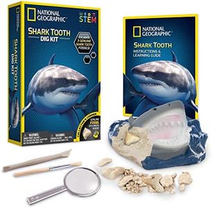 NATIONAL GEOGRAPHIC Shark Tooth Dig Kit, Excavate 3 Real Shark Fossils Including Sand Tiger, Otodus and Crow Shark - Great Science Gift for Marine Biology Enthusiasts of Any Age