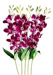 Artificial Flowers Purple Orchid Flower | Fuzia Orchid Sticks for Home Decoration and Garden Decor (Purple 5 sterms - VASE NOT Included)