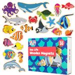 SPARK & WOW Wooden Magnets - Sea Life - Set of 20 - Magnets for Kids Ages 2+ - Cute Animal Magnets for Fridges, Whiteboards and More