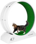 Cat Wheel, Cat Wheels for Indoor Cats, Cat Exercise Wheel with Carpeted Runway, Noiseless Cat Treadmill for Cat Weight Loss, Cat Running Wheel with Locking Mechanism, Fits Most Cats, 31.5inch