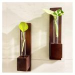 Bombay Greens Wall Planter | Wooden Plant Holder for Living Room | Eco Friendly Planter for Home Décor | Test Tube Planter for Office | Double Sided Tape Included (Set of 2)