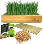 Self-Watering Cat Grass Kit. Hands Down The Easiest Way to Grow Cat Grass. Everything Included to Grow a Large Crop of Delicious Cat Grass.