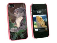 Graphics and More Koala Bear - Teddy - Snap On Hard Protective Case for Apple iPhone 4 4S - Pink - Carrying Case - Non-Retail Packaging - Pink