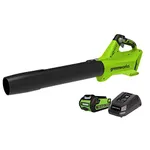 Greenworks 40V 125 Mph - 450 Cfm Cordless Jet Blower, 2.0 Ah Battery and Charger Included BLF346