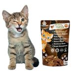 WiggleBoo Chicken & Pumpkin Cat Treat | Travel Pack | Protein Rich | Natural De-wormer | for All Cat Breed | Crunchy Snack (75g)