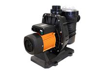 Gibbons Swimming Pool Pump Ideal Replacement (1.5 kW 2 HP)