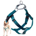 2 Hounds Design Freedom No Pull Dog Harness | Adjustable Gentle Comfortable Control for Easy Dog Walking | for Small Medium and Large Dogs | Made in USA | Leash Not Included | 1" MD Teal