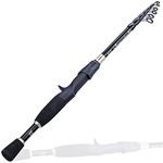 Trout Fishing Poles