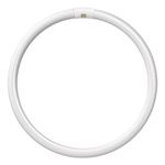 Crompton T9 Circular Fluorescent Tube, Glass, Warm White, GR10q, 40 W