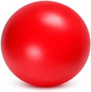 Virtually Indestructible Best Ball for Dogs, 10-inch